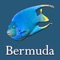 Now in its 3rd edition, Bermuda Reef Life HD is a comprehensive underwater photo app featuring some 300 high definition images divided into 15 sections showcasing the beauty and diversity of Bermuda beneath the surface