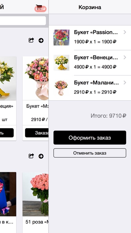 ЦВЕТКОВСКИЙ screenshot-3