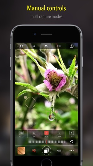 CameraPixels Lite(圖1)-速報App