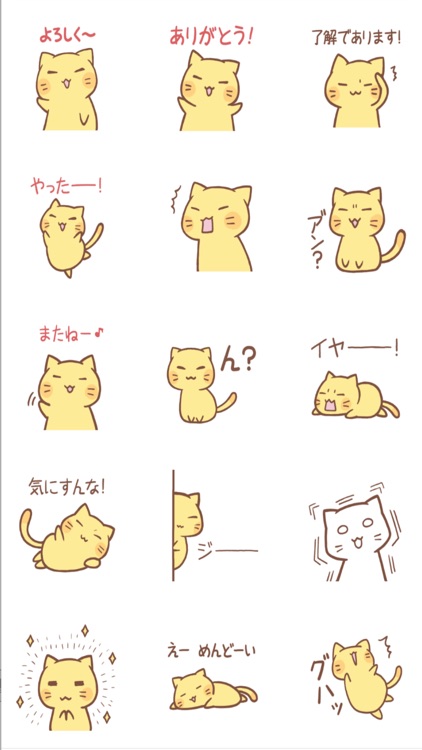 nyanko selection