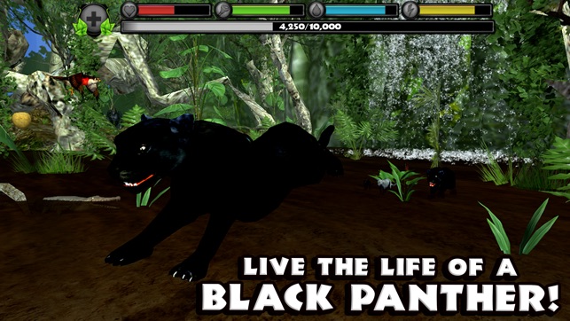 Panther Simulator