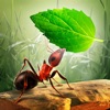 Icon Little Ant Colony - Idle Game