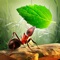 Little Ant Colony - Idle Game