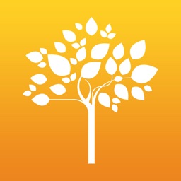 Shopping Bosque Grão-Pará