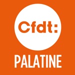 CFDT Palatine