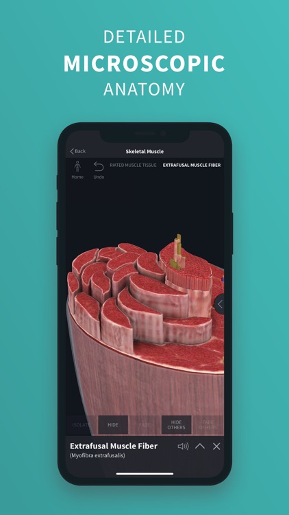Complete Anatomy ‘22 screenshot-3
