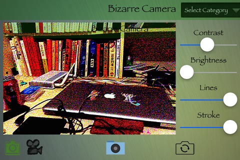 Bizarre Camera screenshot 3