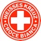 First Aid ADULTS + CHILDREN + INFANTS