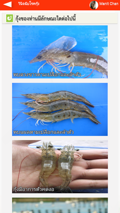 Shrimp-dis screenshot 3