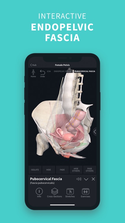 Complete Anatomy ‘22 screenshot-6