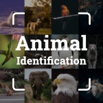 Animals ID - Snap animals