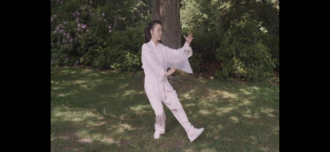 Tai Chi for Beginners 48 Form(圖4)-速報App