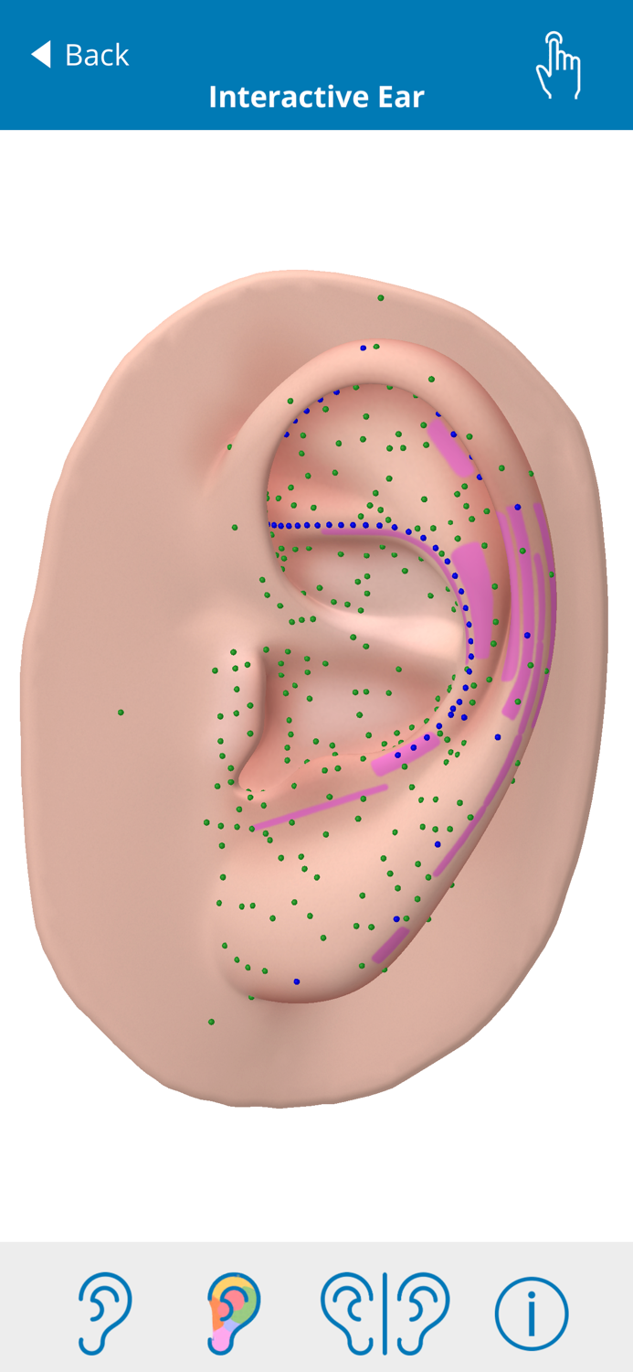 Auriculo 360 - The Living Ear