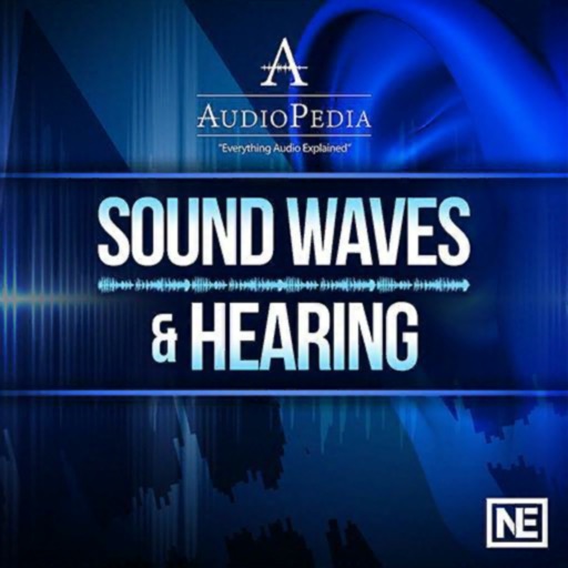 Sound Waves and Hearing 101 icon