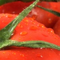 我的食谱高清 icon