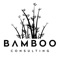 Bamboo Consulting - Bristol, UK