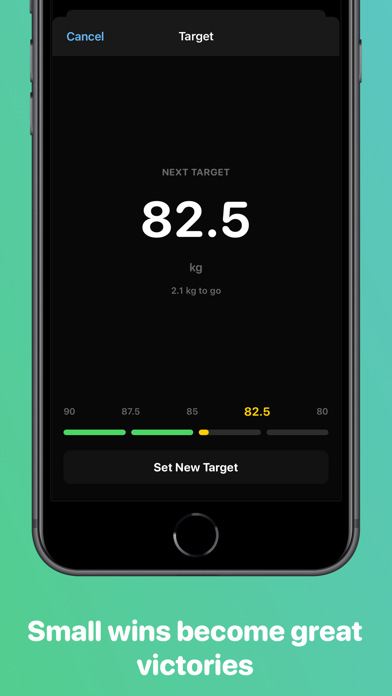 Weight tracker - Vekt screenshot 2