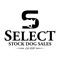 Select Stock Dog Sales is an exclusive auction company for stock dogs of all breeds - Border Collies, Kelpie, Hangin' Trees, Catahoulas, Heelers you name it