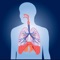 Our app for anyone who wants to learn or test and refresh your knowledge about respiratory system anatomy, functions and disorders