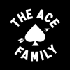 Austin Mcbroom - ACE Family. artwork