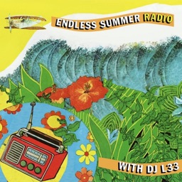 Endless Summer Radio Player