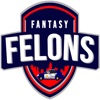 Fantasy Felon Game
