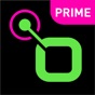 Radio.net PRIME app download