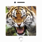 Top 40 Entertainment Apps Like 150+ Sounds of Animals - Best Alternatives