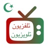 Arab TV: التلفزيون العربي يعيش