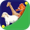 Animals Flashcards & Puzzles