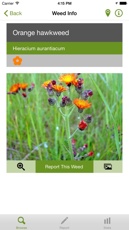 Report a Weed