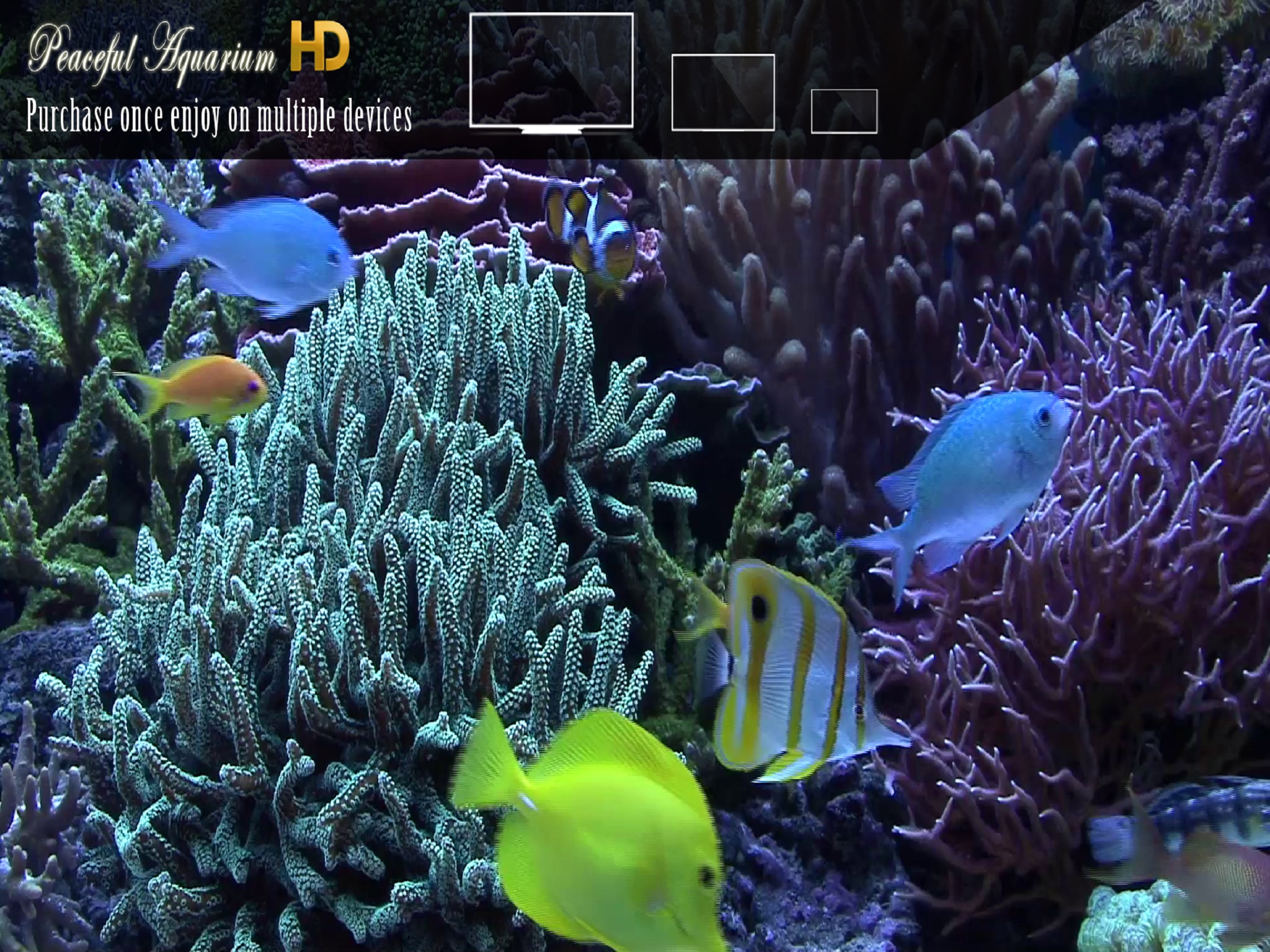 Peaceful Aquarium HD screenshot 2