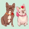 Icon Pug French bulldog & Dachshund