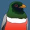 Southeast Arizona is one of the best places in North America for birdwatching