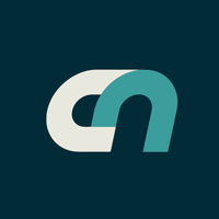 Connect Now Inc