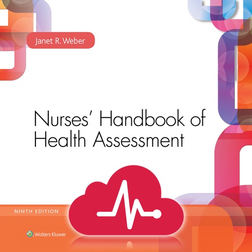 Nurses' HBK Health Assessment Icon