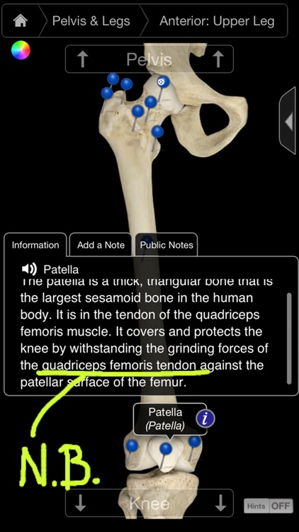 Skeleton System Pro III-iPhone