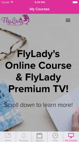 Game screenshot FlyLadyPlus apk