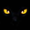 Blackout The Darkest Night