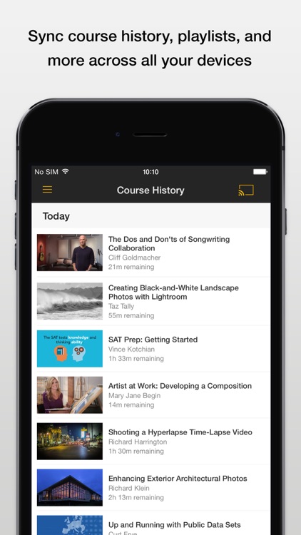 Lynda.com screenshot-6