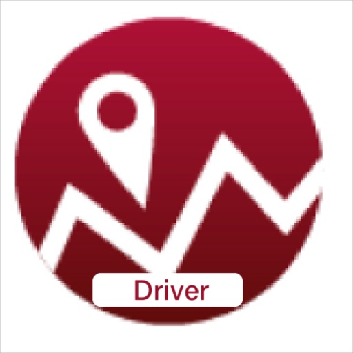 Delivery King Driver