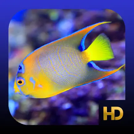 Peaceful Aquarium HD Cheats