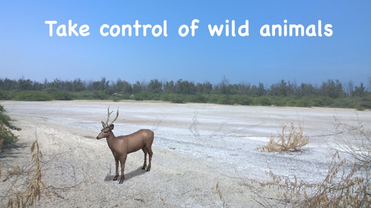 Wildlife AR