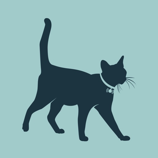 Cat Tailer Icon