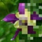 Color Hints Mosaic creates a mosaic or pixelated version of a photograph