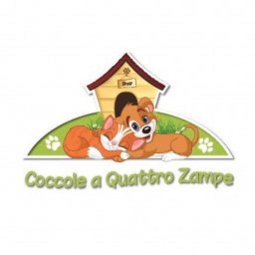 Coccole a Quattro Zampe