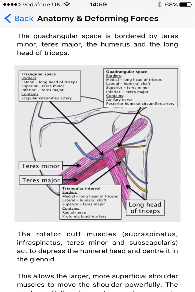 OrthoFlow screenshot 3