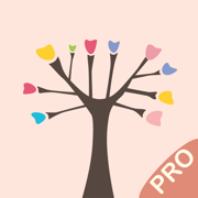 Sketch Fan Pro - My Art Pad