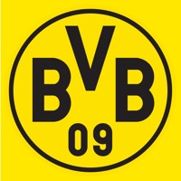 BVB на пк