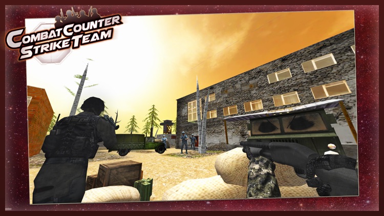 Counter Combat Strike Team